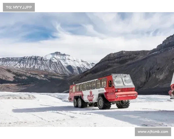 雪车疾风：冰原赛道上的速度盛宴与英雄较量